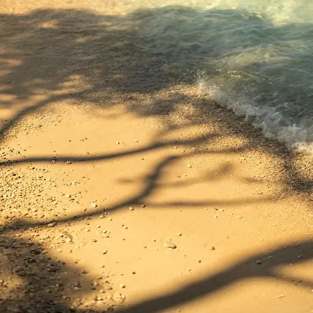 فندق Places Dalmacija By Valamar 3*