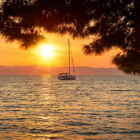 Places Dalmacija By Valamar Szálloda 3*