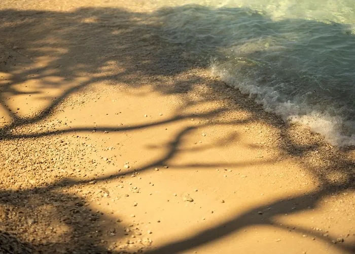 Готель Places Dalmacija By Valamar 3*