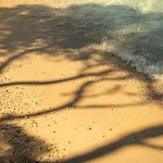 Hotel Places Dalmacija By Valamar 3*
