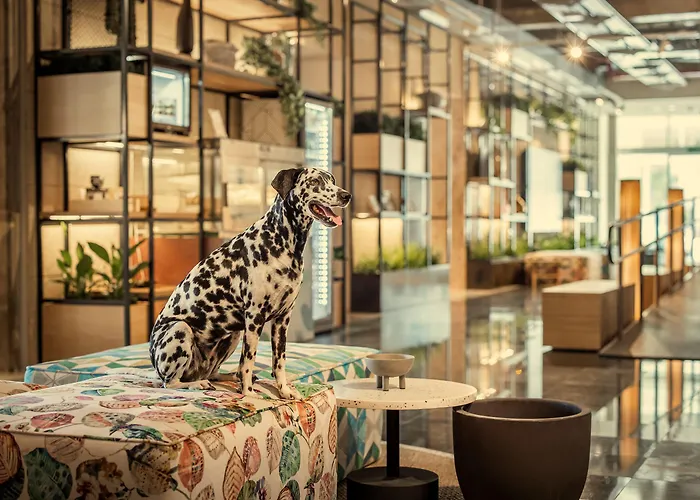 Places Dalmacija By Valamar 3*